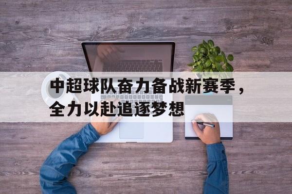平博官网-中超球队奋力备战新赛季，全力以赴追逐梦想  第1张